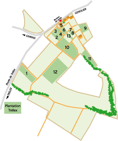 Plan